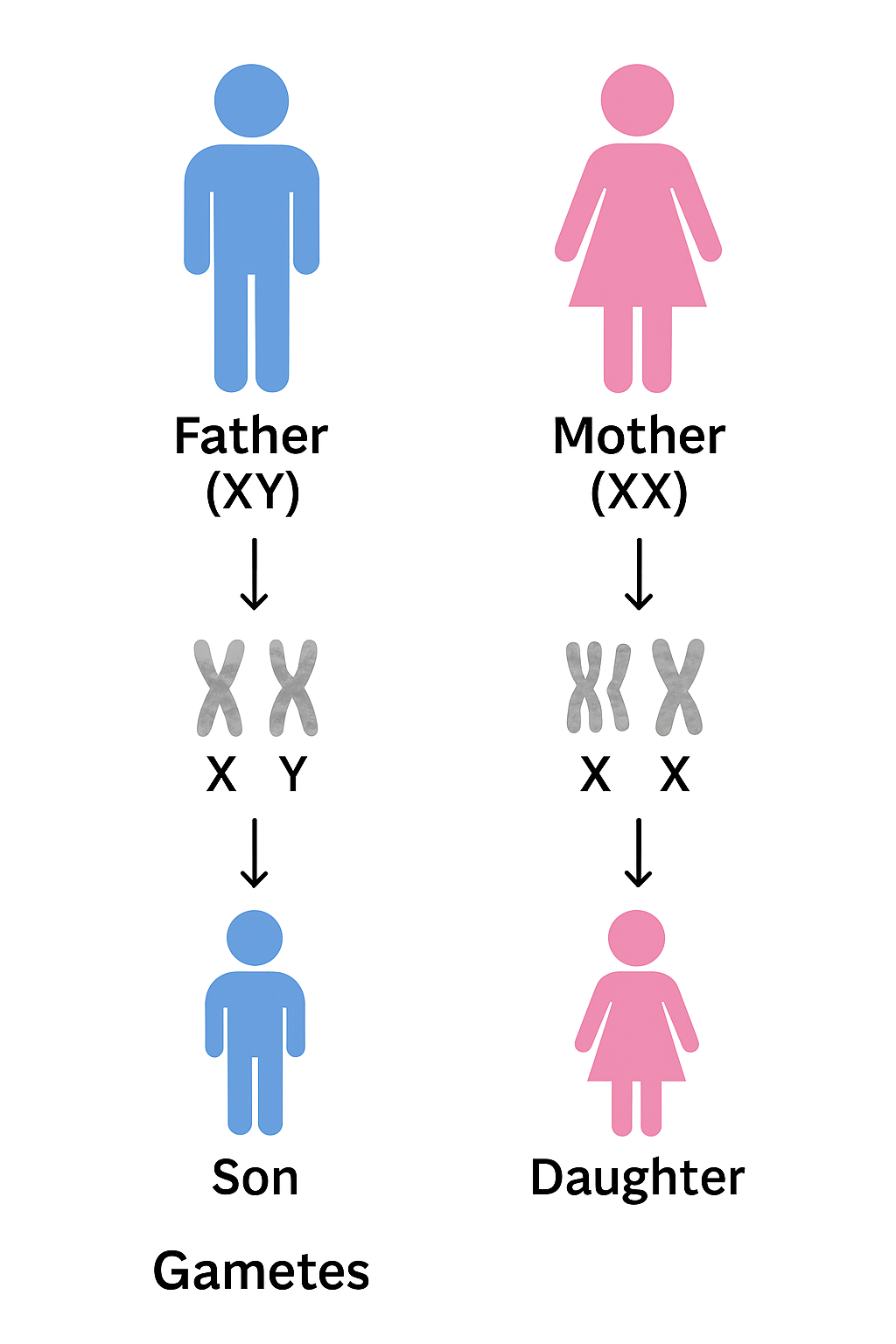 Inverted Anarchy - Hindu Gotra System - 2