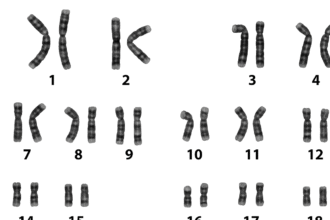 Inverted Anarchy - Hindu Gotra System