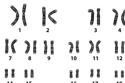 Inverted Anarchy - Hindu Gotra System