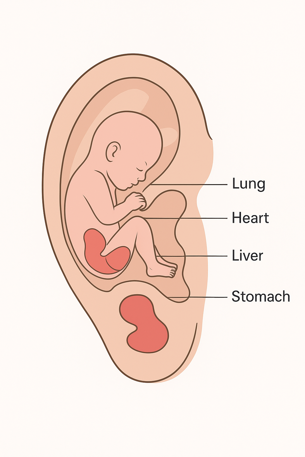 InvertedAnarchy - SuperBrainYoga - 2